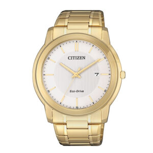 Reloj Citizen Solar Hombre AW1212-87A