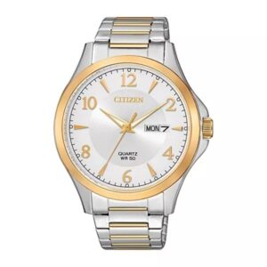 Reloj Hombre Citizen BF2005-54A