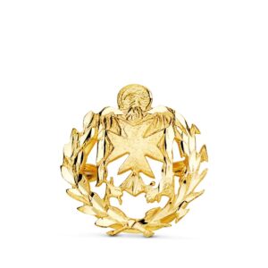 Insignia Profesional Enfermería Oro 18 K 8580-ENF