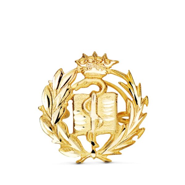 Insignia Profesional Medicina Oro 18 K 8580-MED