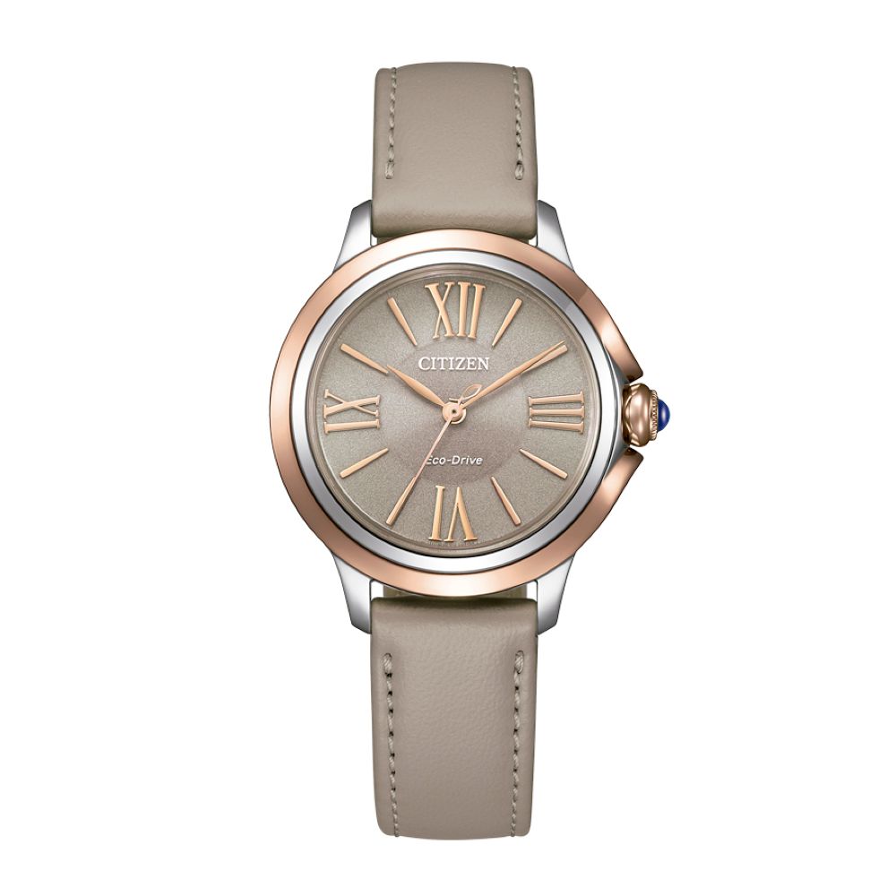 Reloj Citizen Mujer EM1166-01Z Eco Drive